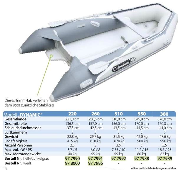 Schlauchboot Dynamic 310 hellgrau