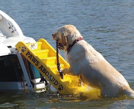 Badeleiter für Hunde Doggie Boatladder
