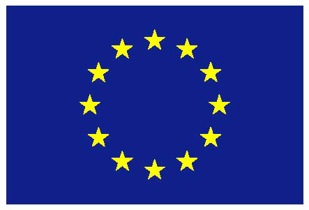 Flagge EU 30x45cm
