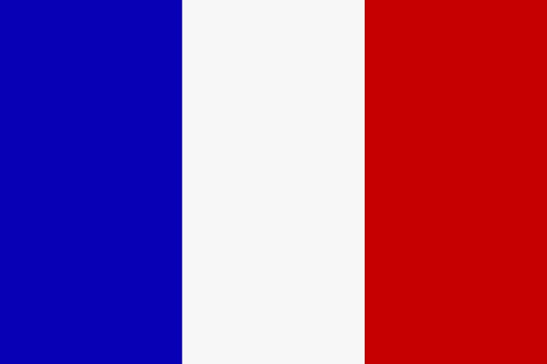 Flagge Frankreich 30x45cm