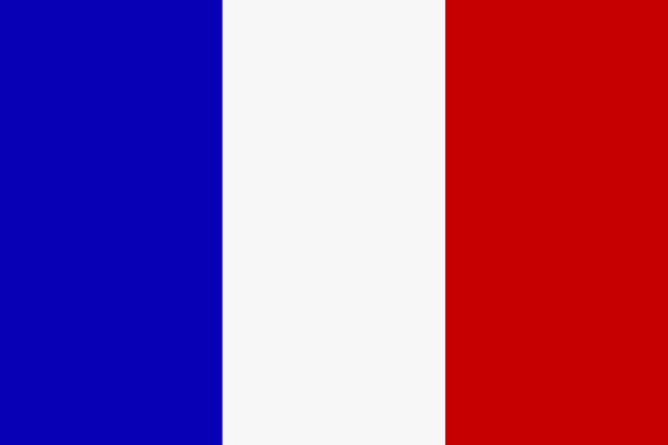 Flagge Frankreich 40x60cm