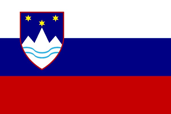Flagge Slowenien 30x45cm