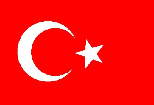 Flagge Türkei 20x30cm