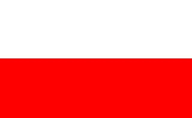 Flagge Polen 30x45cm
