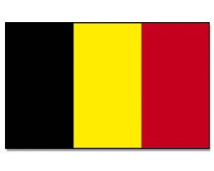 Flagge Belgien 20x30cm