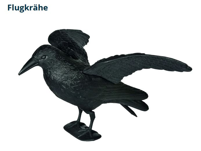 Krähe Möwenschreck 40cm Kst im Flug