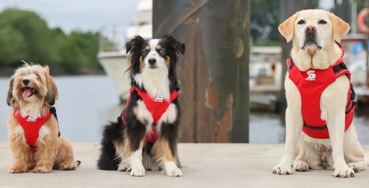 Hundeschwimmweste Secudogs Größe L