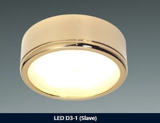 LED D1-3 Slave dm60mm gold 3x1W blau/wwe